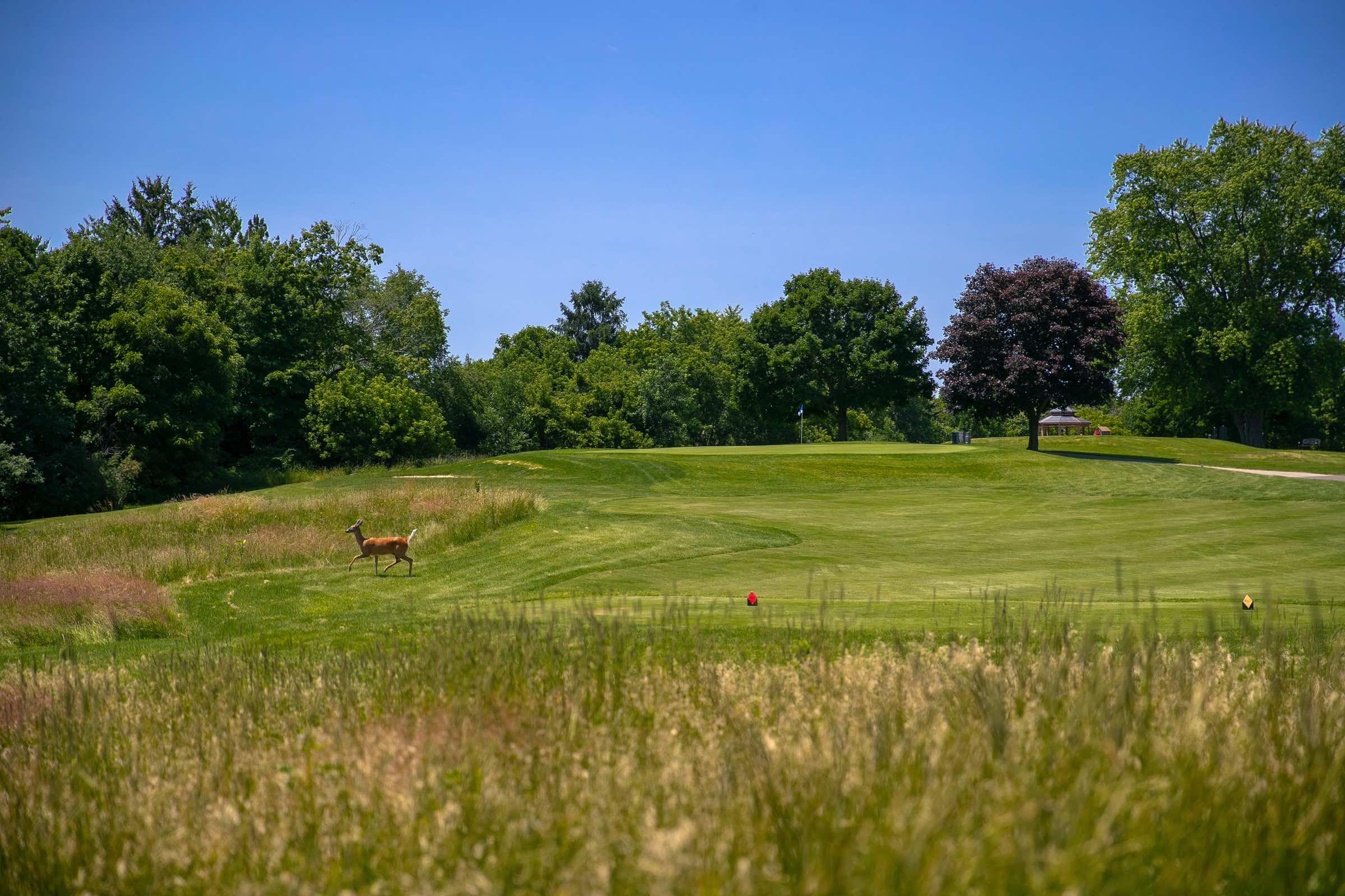 New Berlin Hills Golf League
